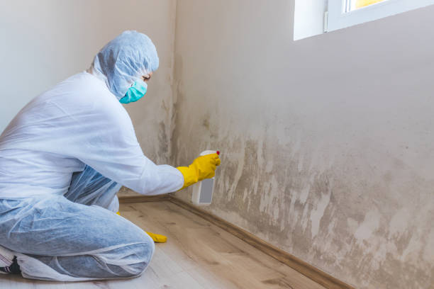 Licensed Crawl Space Mold Removal service in Pembroke Pines, FL - WQB Mold Removal