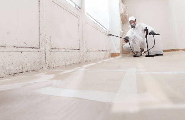 Trusted Crawl Space Mold Removal service in Pembroke Pines, FL - WQB Mold Removal