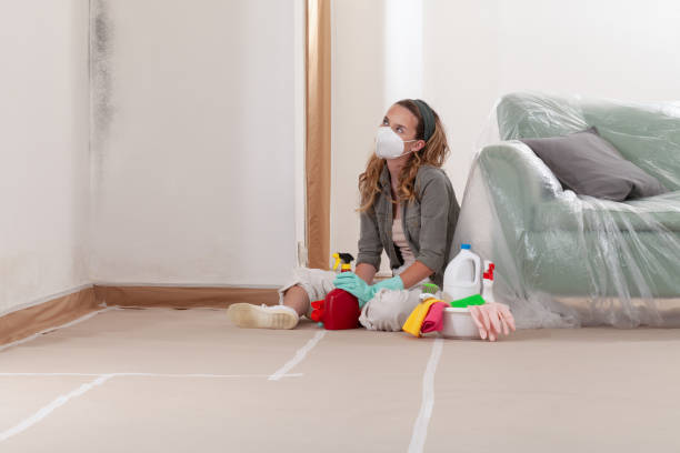 Reliable Crawl Space Mold Removal contractor in Pembroke Pines, FL by WQB Mold Removal