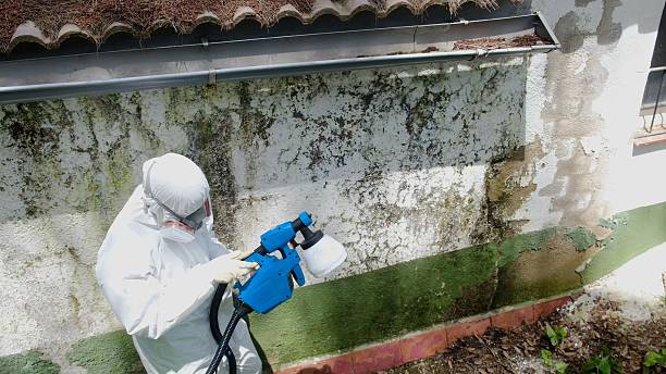 Top rated local Crawl Space Mold Removal specialists in Pembroke Pines, FL